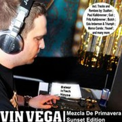 Vin Vega-13