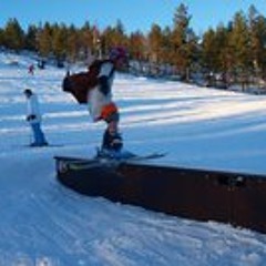 Eirik Moberg