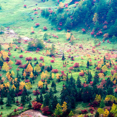 never met one like u before