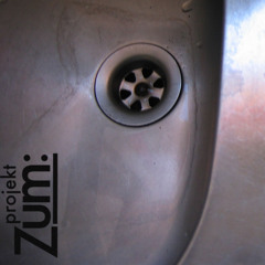 ProjektZum