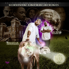 williamwallace c.o.s.