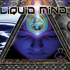 Liquid Mind