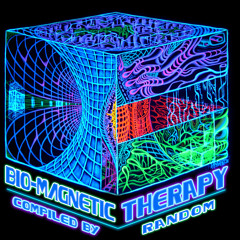 Biomagnetic Therapy