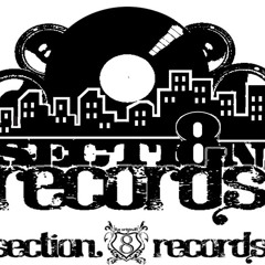 Secti8n Records