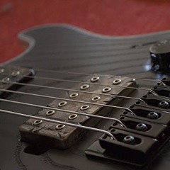 Platypus-2