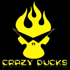 Crazy Ducks