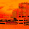 The Vivid