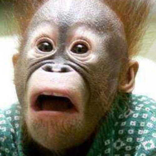 Stream Phantastic Spastic - live @ Zapata 12-24-2009 by Phantastic ...