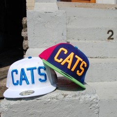 A.B.king scrilla Inc.