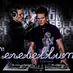 Cerebellum