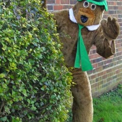 Mr Yogi Bear
