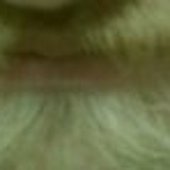 TheMilesJohnsonExperiment