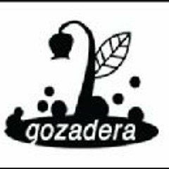 Gozadera Records
