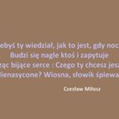 magda-jarz-pietrusiewicz