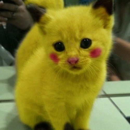 Jaiye Aap Kahan Jayenge