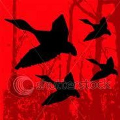 D. OToole Goose Tech Set4