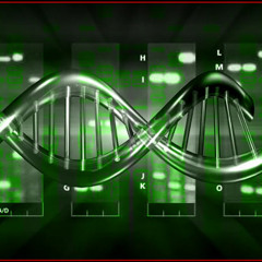 Somnium Trance