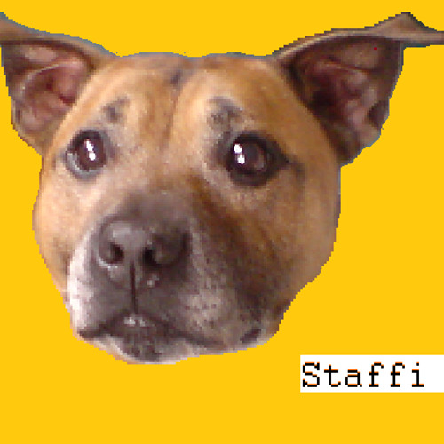 staffi