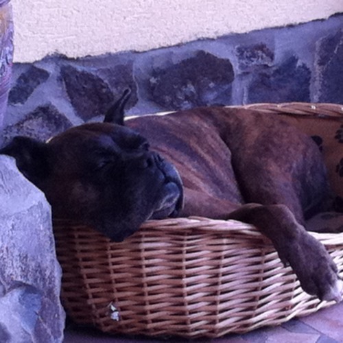 Nights over Egypt mix