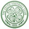 Celtic boii