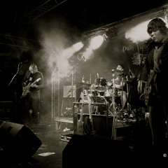 The Penguins Ate My Soul