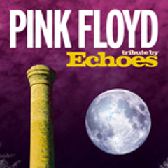 Echoes/tribute/pinkfloyd