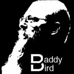 paul-daddybird-castle