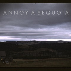 Annoy A Sequoia
