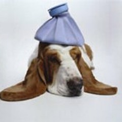 Roadhouse Blues Band