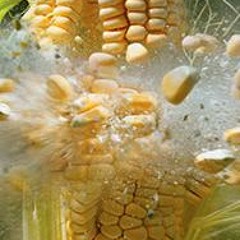 CrackCorn