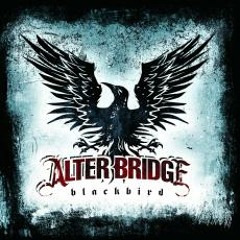 Alter_Bridge_Fan