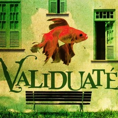 validuate