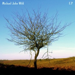 Michael J Wild