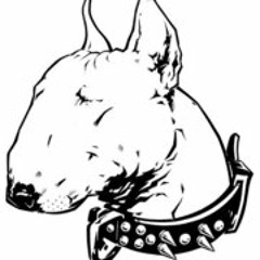 NAXTERRIER