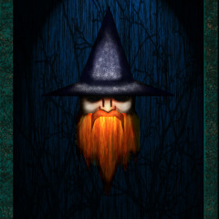Wizard_31