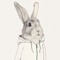 lecoupdulapin