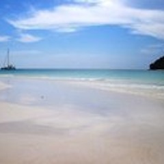 montgomery-ostrander