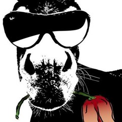 The Donkey & The Tulip