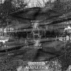 Ambient Beats Sample Pack