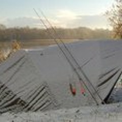 Matthew Reelcarp Birtles