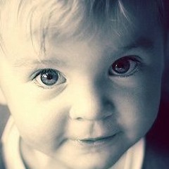 GoGo_Sameh