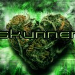 youtube.com/skunner2010