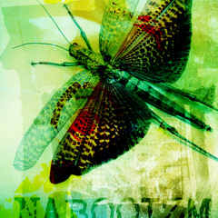 pheonix V3 (nabooizm remix).wav