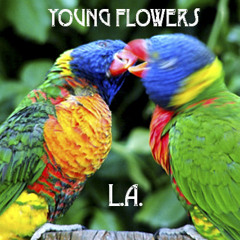 YoungFlowers