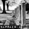 Sapraemia