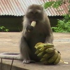 Christopher Christensen