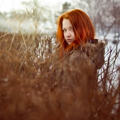 La Valse D'Amelie (mix)