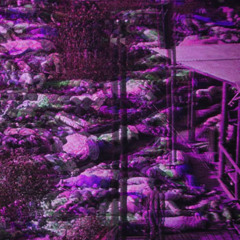 BRΔIN EXPΔNSION PROGRΔM