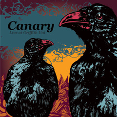 Canary (Brisbane)