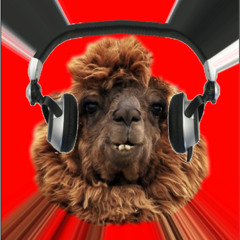Deejay Alpaca